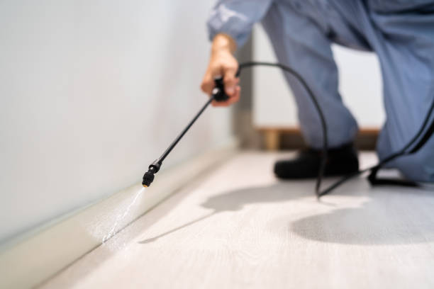 Licensed Pest Control service in University at Buffalo, NY - Show Me Pest Control