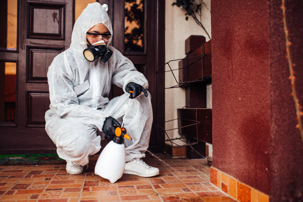 Reliable Ant Control contractor in University at Buffalo, NY by Show Me Pest Control