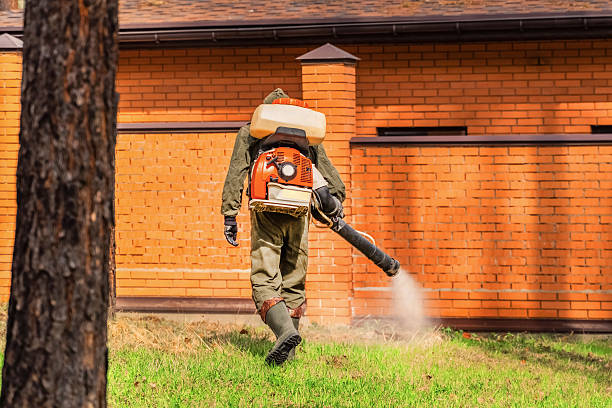 Top rated local Ant Control specialists in University at Buffalo, NY